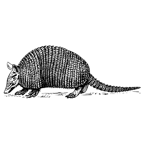 Armadillo Acupuncture
