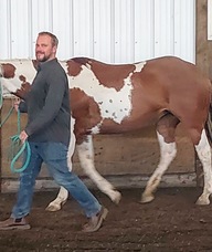 Book an Appointment with Justin van der Merwe for Coaching