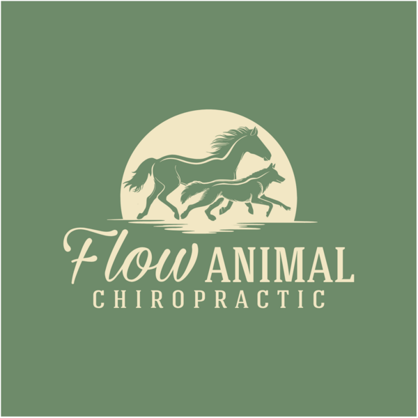 Flow Animal Chiropractic