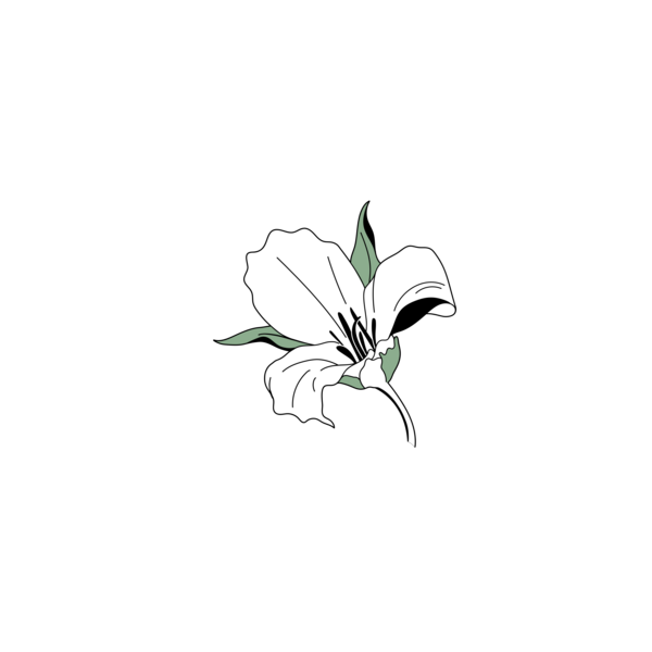 Trillium Wellness & Psychological Services