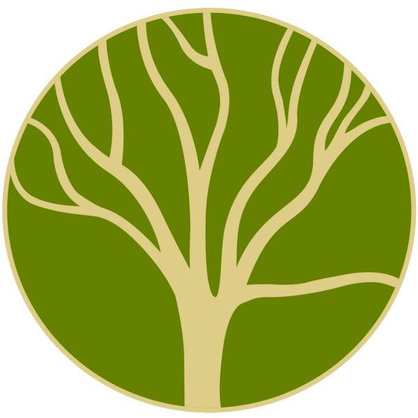 All Paths Yoga & Psychotherapy